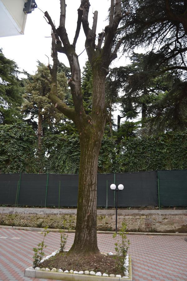 Porte Di Boloňa Exteriér fotografie